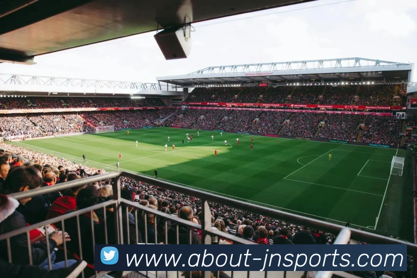 App Interface Preview